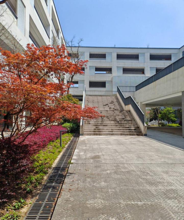 夏逸寒